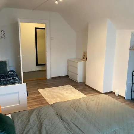 別荘 Jiraskova ドブジーシュ